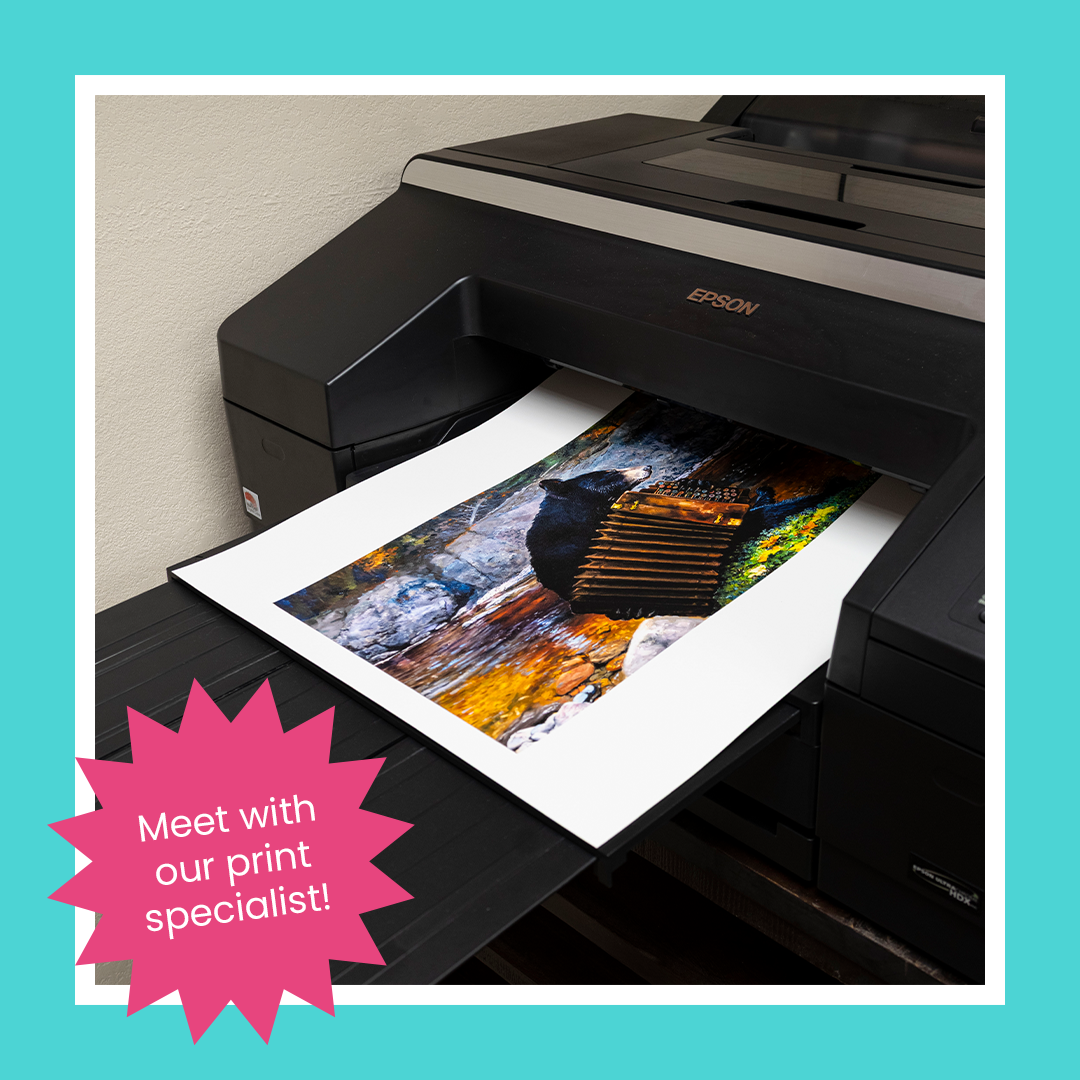 Print Shop | Siiviis Gallery